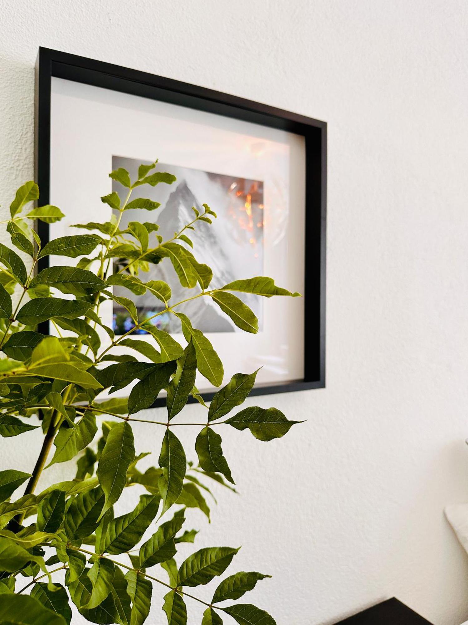 Schoene Ferienwohnung Schottwien Kültér fotó